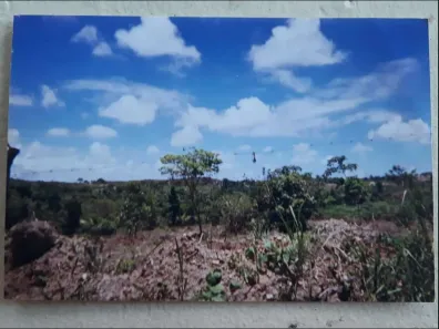 Fazenda/Sítio com 1 Quarto à venda, 155000m² no Lama Preta, Camaçari