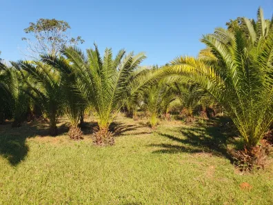 Fazenda/Sítio com 1 Quarto à venda, 180m² no Área Rural de Artur Nogueira, Artur Nogueira