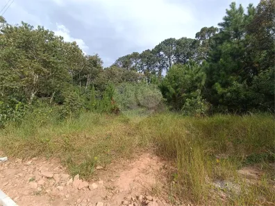 Lote/Terreno à venda, 1500m² no Centro (Mailasqui), São Roque