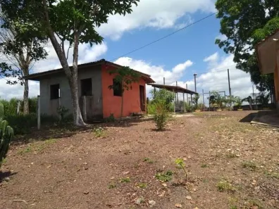 Fazenda/Sítio com 1 Quarto à venda, 600m² no Apeú, Castanhal