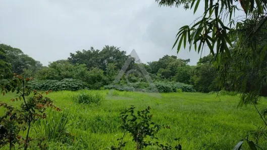 Lote/Terreno à venda, 1000m² no Chácara Santa Margarida, Campinas
