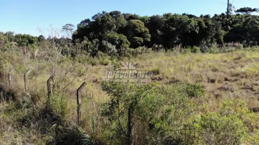 Lote/Terreno à venda, 15517m² no Cidade Industrial, Curitiba