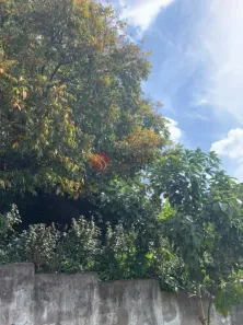 Lote/Terreno à venda, 1140m² no Chácara Belenzinho, São Paulo