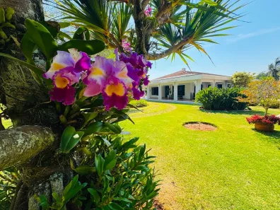 Fazenda/Sítio com 5 Quartos à venda, 31000m² no Vila Belo Horizonte, Itapetininga