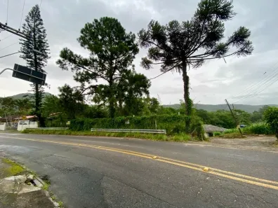 Lote/Terreno à venda, 1531m² no Ratones, Florianópolis