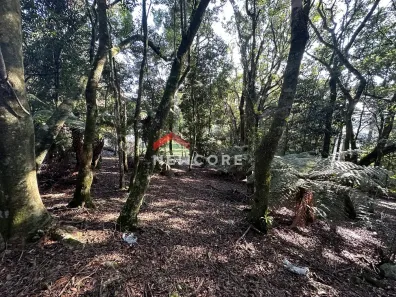 Lote/Terreno à venda, 618m² no Floresta, Gramado