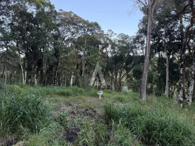 Lote/Terreno à venda, 20227m² no Campo Alegre, Campo Alegre