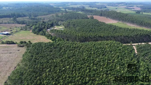 Fazenda/Sítio à venda, 300000000m² no , Triunfo