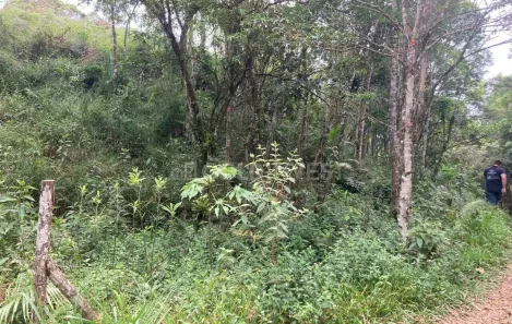 Lote/Terreno à venda, 4000m² no Não Informado, São João Batista