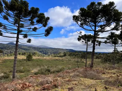 Lote/Terreno à venda, 20000m² no , Urubici