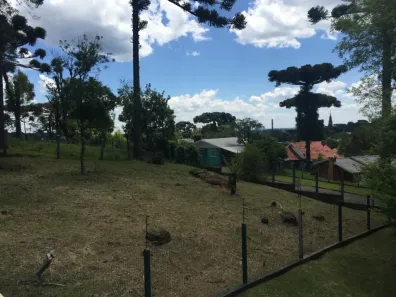 Lote/Terreno à venda, 1000m² no Maggi, Canela