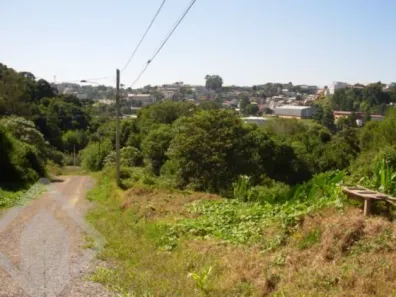 Lote/Terreno à venda, 2679m² no Panazzolo, Caxias do Sul