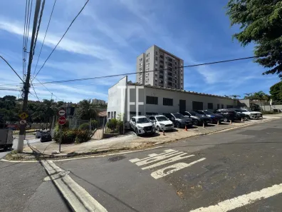 Galpão/Depósito/Armazém à venda, 262m² no Nova Campinas, Campinas