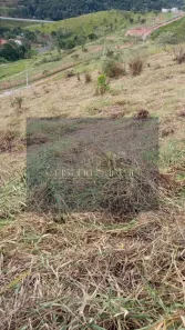 Lote/Terreno à venda, 2500m² no Chácaras Condomínio Recanto Pássaros II, Jacareí