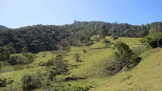 Lote/Terreno à venda, 36000m² no José da Rosa, São Bento do Sapucaí