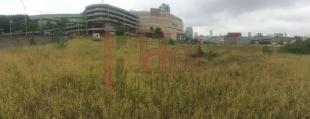 Lote/Terreno para alugar, 19070m² no Jardim Anália Franco, São Paulo