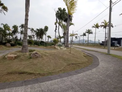 Lote/Terreno à venda, 450m² no Vargem do Bom Jesus, Florianópolis