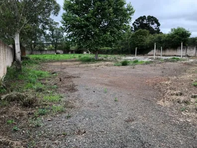 Lote/Terreno à venda, 2542m² no Cará-cará, Ponta Grossa