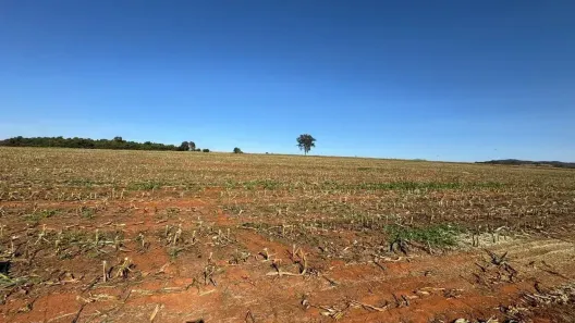 Fazenda/Sítio com 4 Quartos à venda, 1113200m² no , Pontalina