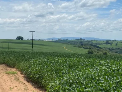 Fazenda/Sítio com 2 Quartos à venda, 70m² no Área Rural de Itapetininga, Itapetininga