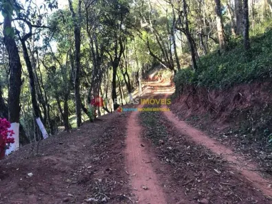 Lote/Terreno à venda, 8093m² no Sertãozinho, Santo Antônio do Pinhal