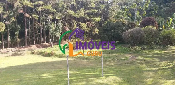 Fazenda/Sítio com 3 Quartos à venda, 5000m² no Sítio do Morro, Santana de Parnaíba