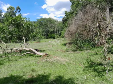 Fazenda/Sítio à venda, 46000m² no , Picada Café