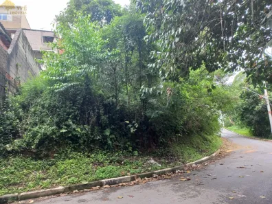 Lote/Terreno à venda, 395m² no Recanto Vista Alegre, Cotia