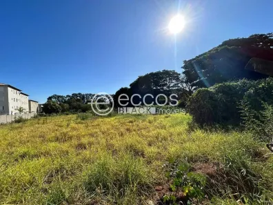 à venda, 6000m² no Chácaras Tubalina e Quartel, Uberlândia
