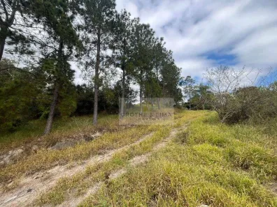 Lote/Terreno à venda, 110000m² no Serrote, Santa Branca