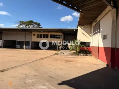 Galpão/Depósito/Armazém para alugar, 1773m² no Bom Jesus, Uberlândia