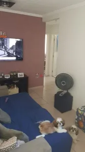 Apartamento com 2 Quartos à venda, 48m² no Vila Rangel, São José dos Campos
