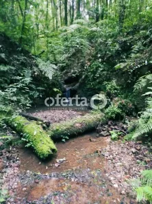 Fazenda/Sítio à venda, 6050m² no , Contenda
