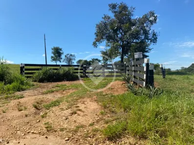 Fazenda/Sítio à venda, 4m² no , Hidrolândia