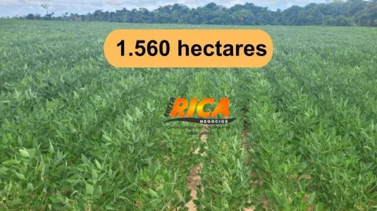 Fazenda/Sítio à venda, 15600000m² no , Nova Mamoré