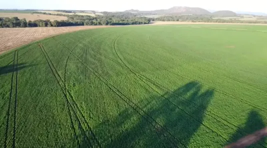 Fazenda/Sítio com 5 Quartos à venda, 140m² no , Santa Rita do Novo Destino