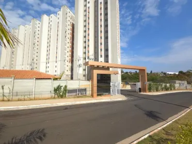 Apartamento com 2 Quartos à venda, 45m² no Parque Yolanda (Nova Veneza), Sumaré