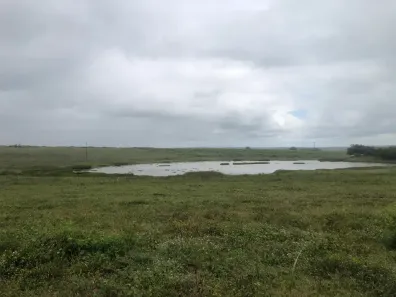 Fazenda/Sítio para alugar, 100000000m² no , Alagoa Grande