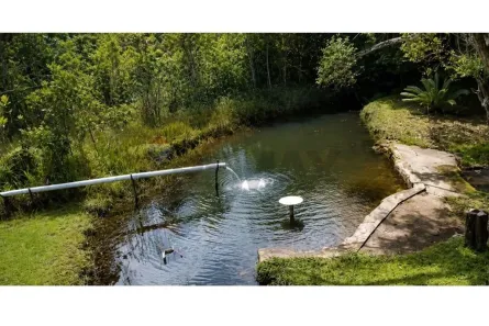 Fazenda/Sítio com 1 Quarto à venda, 149000m² no Porto de Sauípe, Entre Rios