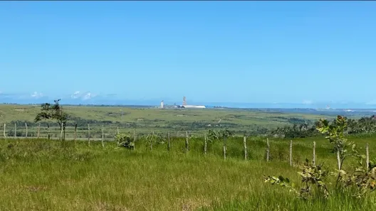 Fazenda/Sítio à venda, 200000m² no Mata Redonda, Alhandra