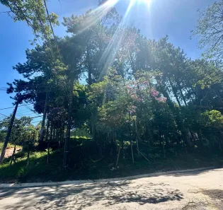 Lote/Terreno à venda, 1150m² no Jardim Club de Campo, Santo André