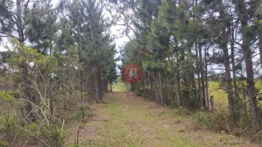 Lote/Terreno à venda, 10m² no Osório, Osório