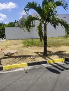 Lote/Terreno à venda, 600m² no Ponta Negra, Manaus