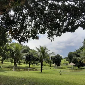 Fazenda/Sítio com 5 Quartos à venda, 200000m² no Papucaia, Cachoeiras de Macacu