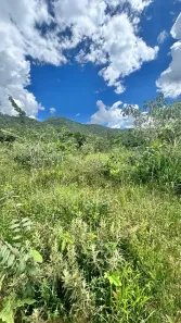 Lote/Terreno à venda, 1000m² no Vila Pompeu, Pirenópolis