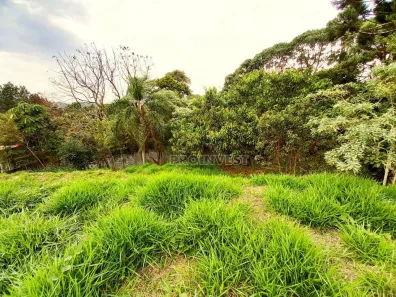 Lote/Terreno à venda, 545m² no Moinho Velho, Cotia