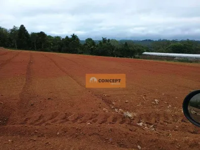 Lote/Terreno à venda, 1000m² no Ipelândia, Suzano