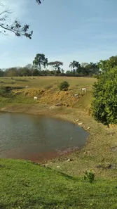 Lote/Terreno com 1 Quarto para venda ou aluguel, 80000m² no Sousas, Campinas