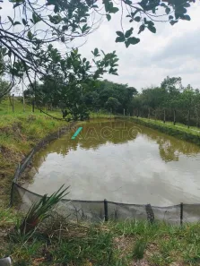 Fazenda/Sítio com 1 Quarto à venda, 21000m² no Área Rural de Engenheiro Coelho, Engenheiro Coelho