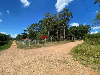 Lote/Terreno à venda, 1040m² no Borda do Campo, São José dos Pinhais